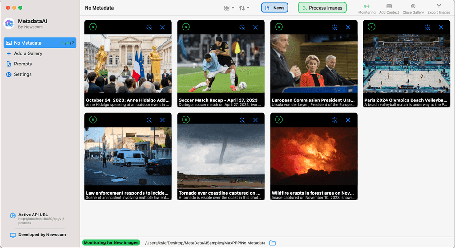 MetadataAI desktop app screenshot